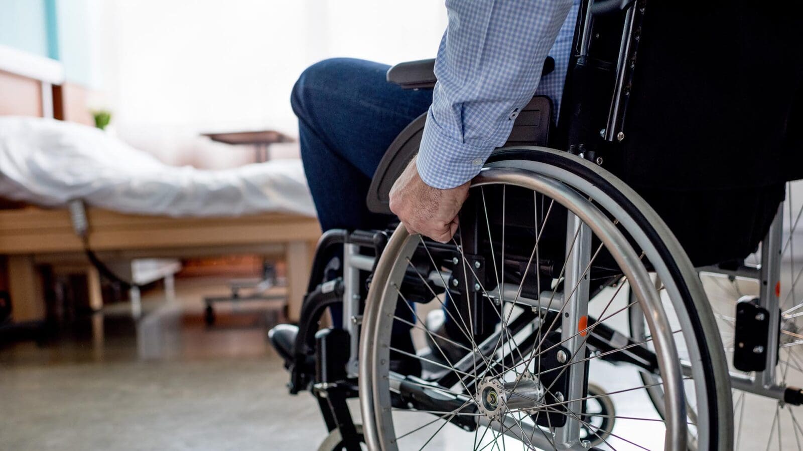 Vet on wheelchair